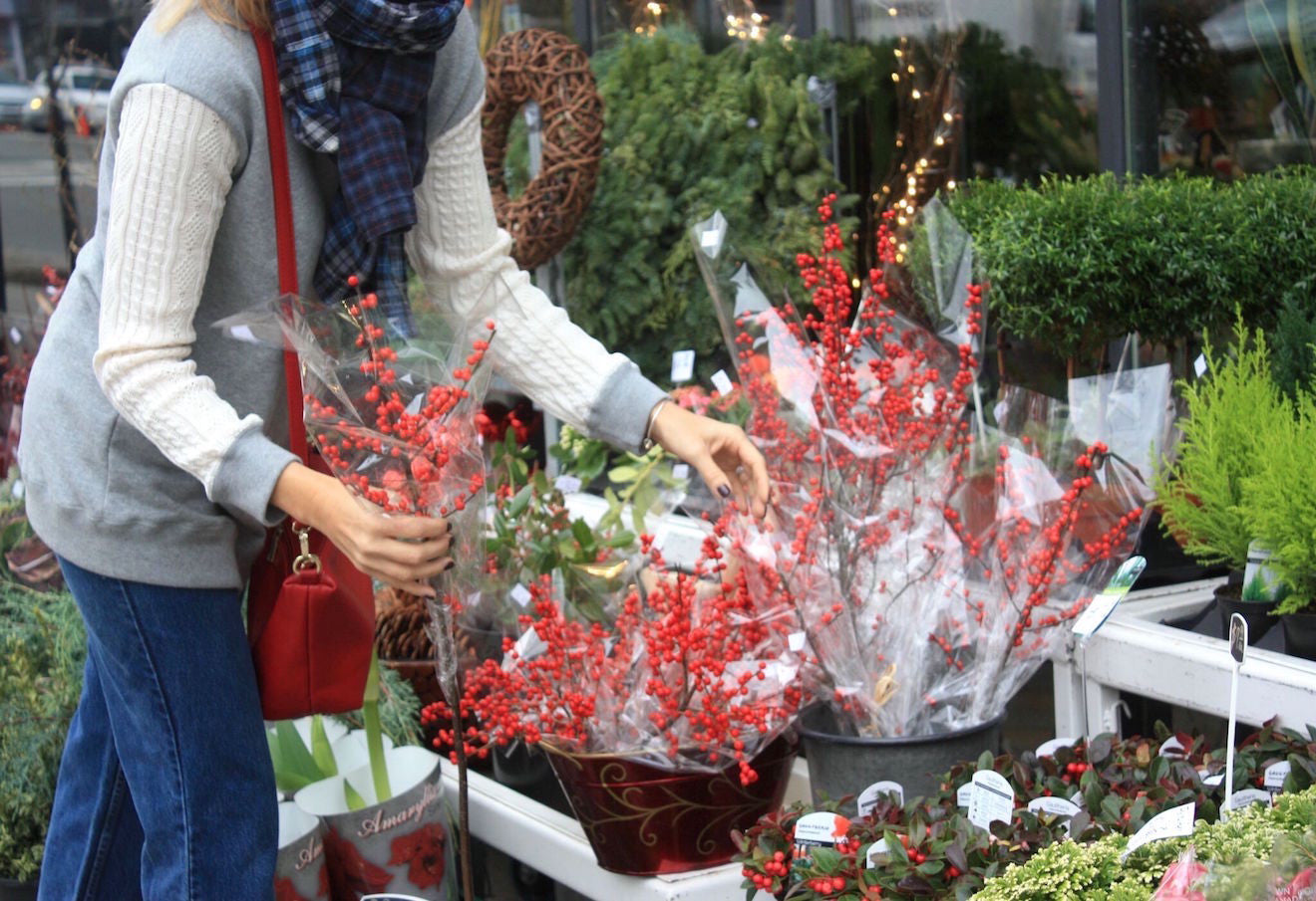 Being Julia : Getting Festive